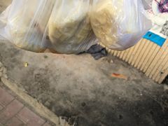 -老陶包子铺(南大西南村店)