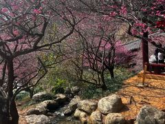 -庐山风景名胜区-东林大佛