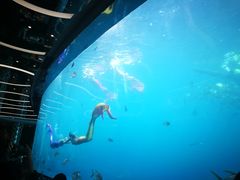 -瑞德姆美人鱼海底演艺主题餐厅(亚龙湾店)