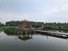 -同銮特种养殖场·龙虾垂钓