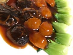 -東海薈。拉斐特(青衣城店)