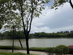 -顺峰山公园