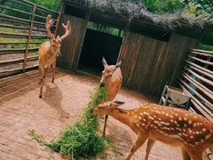-北京山里寒舍度假酒店