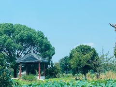 -七的湖·江南蟹舫·阳澄湖农家菜(蟹舫苑店)