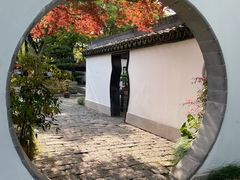 -上海醉白池公园