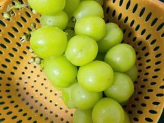 -马陆小张葡萄园农家乐