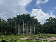 -中国科学院西双版纳热带植物园