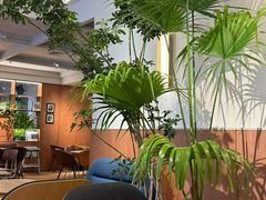 -Wagas沃歌斯(枫蓝国际店)