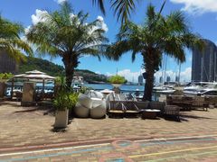 -小猫钓鱼海钓俱乐部(椰梦长廊店)