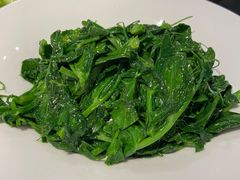 清炒豌豆尖-向川南·水煮鱼·川菜(和平里店)