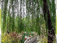 -南汇桃花村
