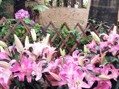 -园林美食城·本土农家菜(杨和镇店)