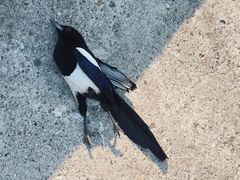 -南京金牛湖风景区