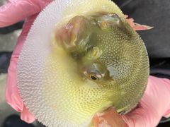 -永安鱼庄·镇江菜(东吴路店)