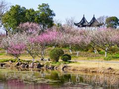 -上海海湾国家森林公园