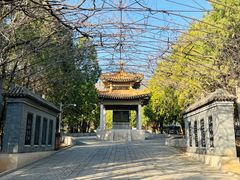 -北京十三陵国家森林公园蟒山景区