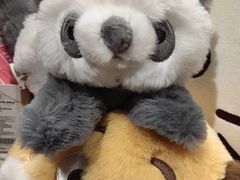 -九木杂物社(中心店)