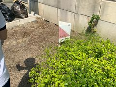 -上海海洋大学(临港校区)