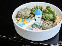 -北京之星奔驰4S店(亦庄店)