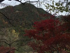 -四明山国家森林公园