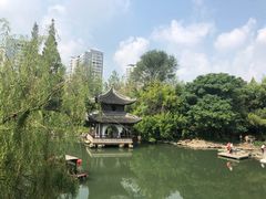 -水绘园