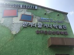 -信不信由你博物馆