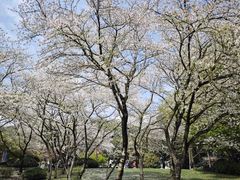 -中国茶叶博物馆(双峰馆区)