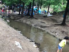 -白水寺森林公园