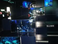 -同济大学四平路校区深海探索馆