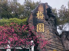 -无锡梅园公园