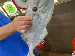 -寻味顺德·南记酒家·传统顺德菜·鱼生(广源路店)