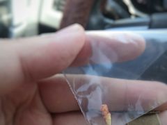 -美联众合动物医院·24h转诊中心