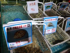 -琼大师东方烤乳猪(亚特兰蒂斯店)
