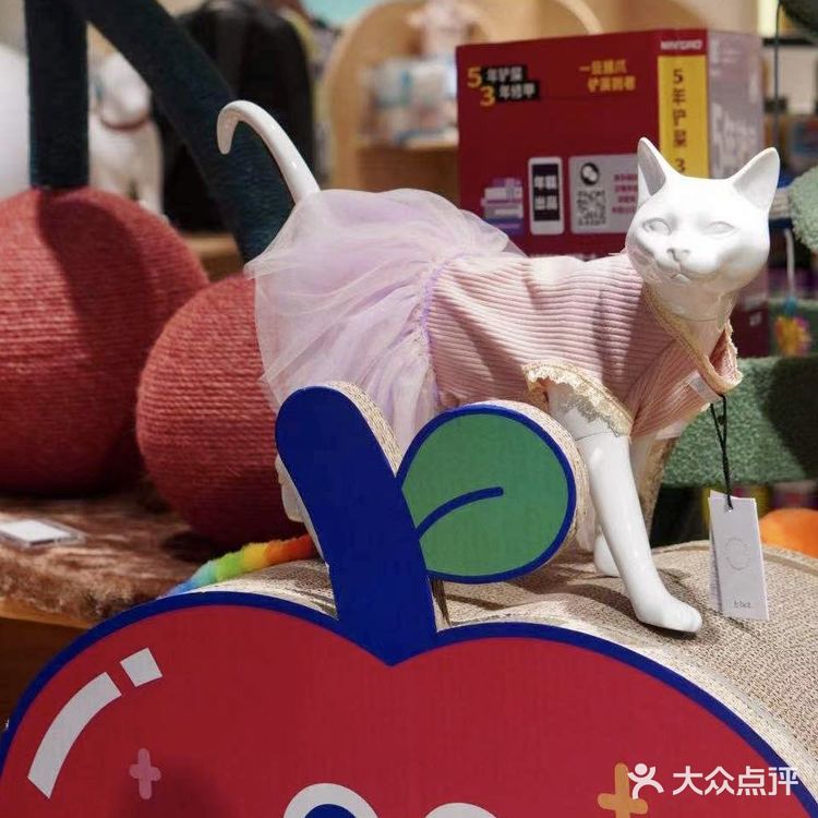 铲屎官快来报道❗❗