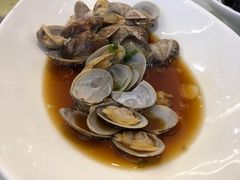葱油花蛤-骏莱海鲜鱼港(五角场店)