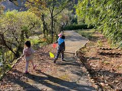 -武汉姚家山旅游景区