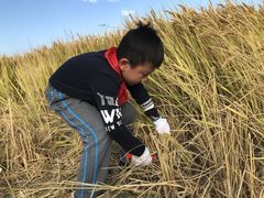 -学知乐教育·幼小衔接·小学科辅导(嘉定镇校区)