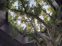 -和平公园