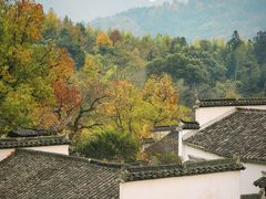 -塔川景区