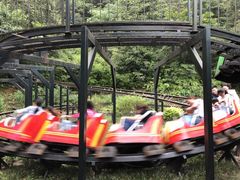 -梦幻奥陶纪景区