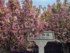 -石家庄市植物园