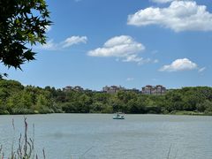 -昆山城市生态森林公园