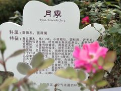 -永阳公园