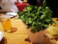 西洋菜-好彩猪肚鸡(正弘城店)
