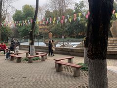 -赭山公园