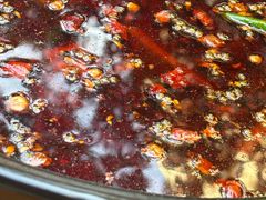 -小饕荟雅安贡椒鱼鲜馆(广福桥店)