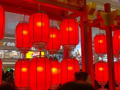 -越秀西湖花市(广州城市广场花卉店)