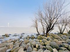 -上海吴淞炮台湾国家湿地公园