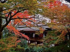 -三千院
