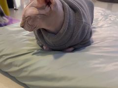-平行世界·猫咖(首经贸店)